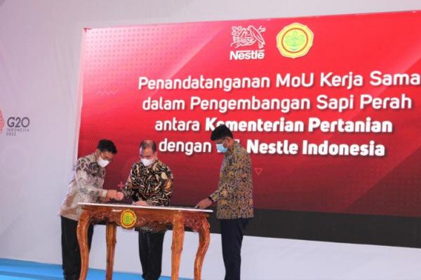 Kementan MoU dengan Nestle Indonesia untuk Pengembangan Sapi Perah